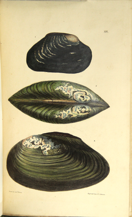 Illustrations of the land and fresh water conchology of Great Britain and Ireland, with figures, descriptions, and localities of all the species. Drawn and coloured from nature.