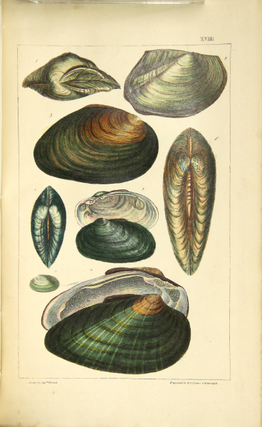 Illustrations of the land and fresh water conchology of Great Britain and Ireland, with figures, descriptions, and localities of all the species. Drawn and coloured from nature.