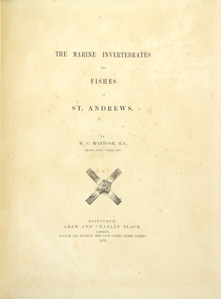 Item #21356 The marine invertebrates and fishes of St. Andrews. W. C. Mintosh.