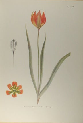 Notes on tulip species … edited and illustrated by E. Katherine Dykes. Introduction by Sir A. Daniel Hall.