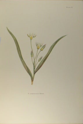 Notes on tulip species … edited and illustrated by E. Katherine Dykes. Introduction by Sir A. Daniel Hall.