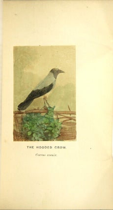The birds of Berkshire and Buckinghamshire: a contribution to the natural history of the two counties.