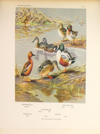 The birds of Minnesota.