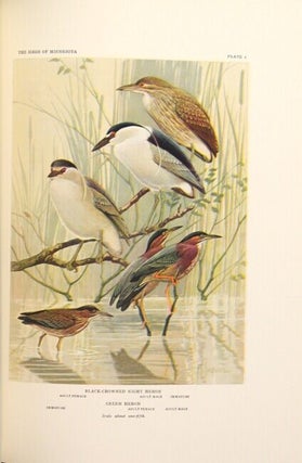 The birds of Minnesota.