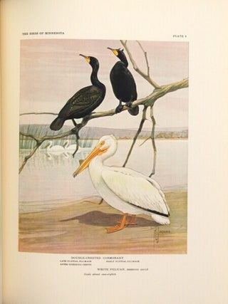 The birds of Minnesota.