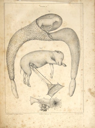 Cours sur la génération, l'ovologie et l'embryologie, fait au Muséum d'histoire naturelle en 1836 … recueilli et publié par M. Deschamps.