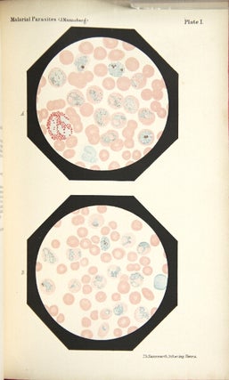 Two monographs on malaria and the parasites of malarial fevers. I. Marchiafava and Bignami. II. Mannaberg. [Translated from the first Italian edition by J. Harry Thompson … with notes and appendices by the two authors.] [Translated from the German by R.W. Felkin.]