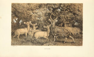 African hunting from Natal to the Zambesi, including Lake Ngami, the Kalahari Desert, etc., from 1852 to 1860. Second edition.