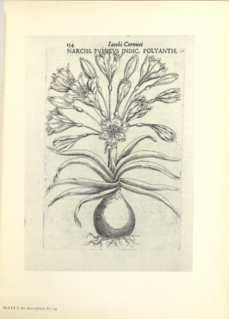 Item #28100 Fifty-five rare books from the botanical library of Mrs Roy Arthur Hunt. HARLEY H. BARTLETT.