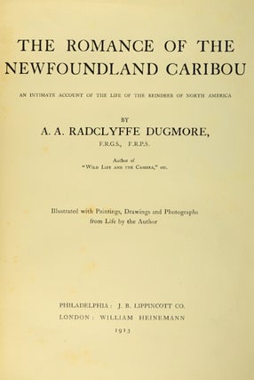 The romance of the Newfoundland caribou. An intimate account of the life of the reindeer of North America