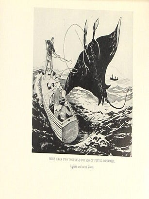 White Cayuca. The log of an adventurous voyage to Devil's Island, the Valley of Creeping Death, the Isle of Buried Treasure, the Bedbug Islands, and the land of savage mystery ... With illustrations from drawings by William Braddock Studley, Jr