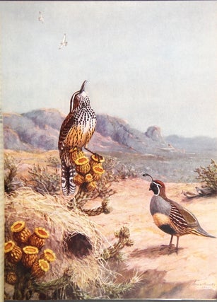 Arizona and its bird life. A naturalist's adventures with the nesting birds on the deserts, grasslands, foothills, and mountains of southeastern Arizona.