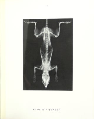 Item #33709 Atlas of the skeletal development of the rat (Long-Evans strain) normal and...