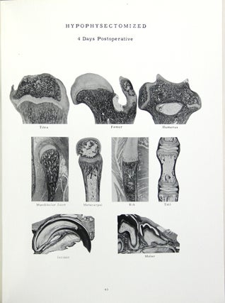 Atlas of the skeletal development of the rat (Long-Evans strain) normal and hypophysectomised