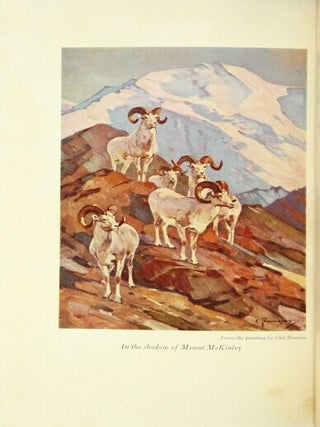 In the shadow of Mount McKinley ... Foreword by John Burnham