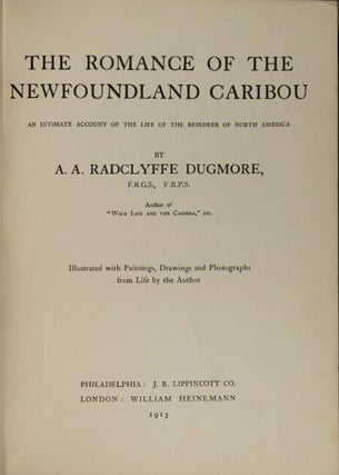 The romance of the Newfoundland caribou. An intimate account of the life of the reindeer of North America.