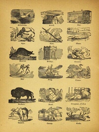 The Grand Union Tea Co. dictionary