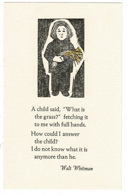 Item #39783 [Blank postcard]. Walt Whitman.
