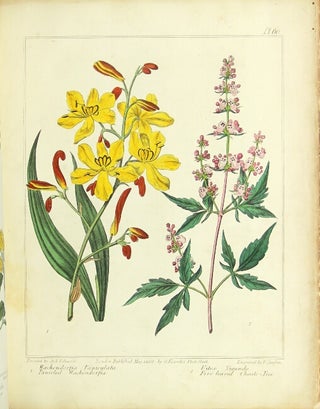 The new flora Britannica, illustrated with one hundred thirty-three plates, engraved by Sansom, from the original pictures, and coloured with the greatest exactness from drawings by Sydenham Edwards