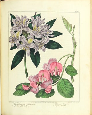 The new flora Britannica, illustrated with one hundred thirty-three plates, engraved by Sansom, from the original pictures, and coloured with the greatest exactness from drawings by Sydenham Edwards