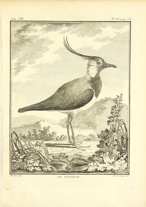 Histoire naturelle des oiseaux
