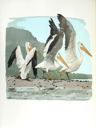 Item #46592 Lac des Pleurs. Report from Lake Pepin. Gaylord Schanilec