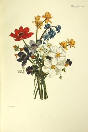 Great flower books 1700-1900. A bibliographical record of two centuries of finely-illustrated flower books
