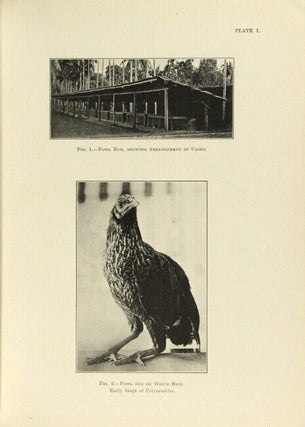 Studies from the Institute for Medical Research, Federated Malay States. No. 17. collected papers on Beri-Beri