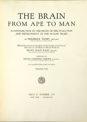 The brain from ape to man