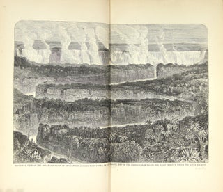 Item #47971 Narrative of an expedition to the Zambesi and its tributaries; and of the discovery...