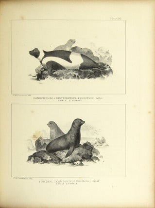 The marine mammals of the north-western coast of North America, described and illustrated: together with an account of the American whale-fishery