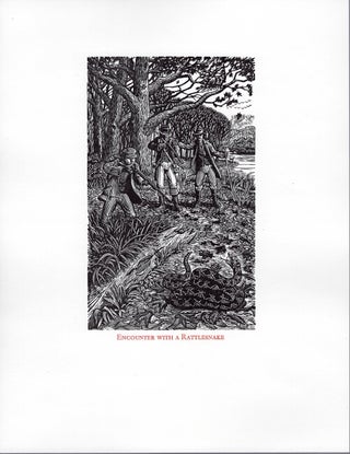 Complete wood engravings for the foresters: large-paper proofs suitable for framing