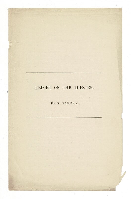 Item #53852 Report on the lobster. S. Garman.