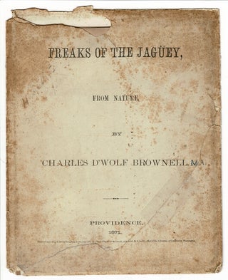 Item #56385 Freaks of the Jagüey, from nature [envelope title]. Charles D'Wolf Brownell
