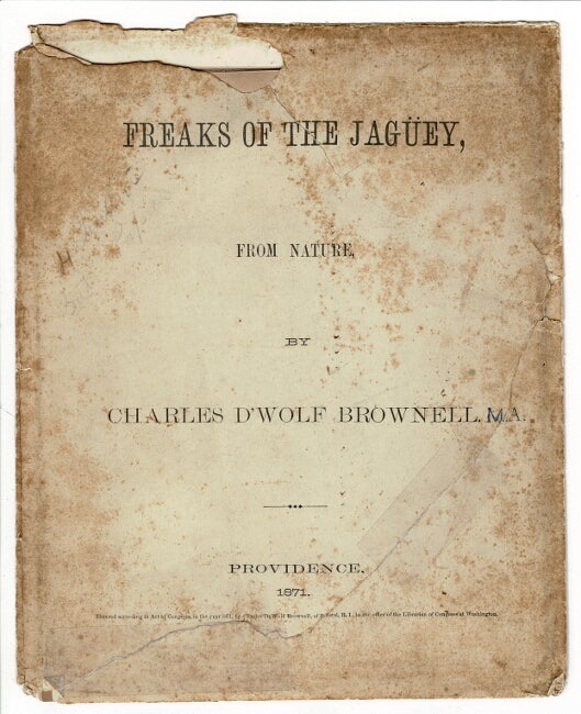 Item #56385 Freaks of the Jagüey, from nature [envelope title]. Charles D'Wolf Brownell.