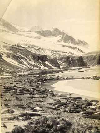 Arctic and Antarctic: a prospect of the polar regions