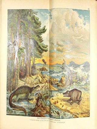 Naturgeschichte des Mineralreichs fur Schule und Haus