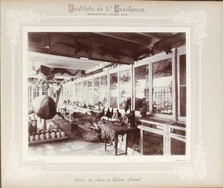 Composite album of printed text and original photographs prepared for the Buffalo Pan-American Exposition