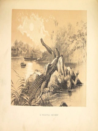 The life and explorations of David Livingstone, LL.D. Carefully compiled from reliable sources.