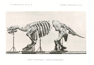 Paleontologia Argentina. Contributions to a knowledge of the fossil vertebrates of Argentina = Contribuciones al conocimiento de los vertebrados fósiles de la Argentina