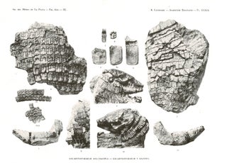 Paleontologia Argentina. Contributions to a knowledge of the fossil vertebrates of Argentina = Contribuciones al conocimiento de los vertebrados fósiles de la Argentina
