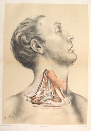 Illustrations of dissections in a series of original coloured plates the size of life, representing the dissection of the human body