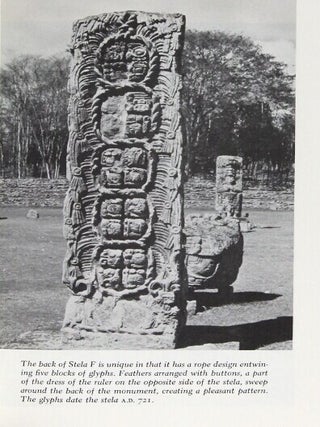A guide to ancient Maya ruins