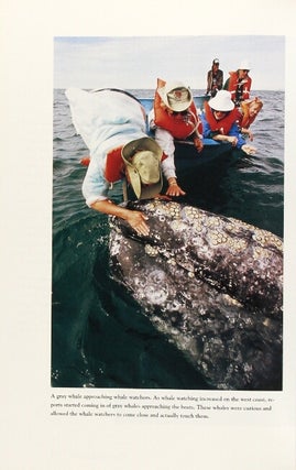 Whales and dolphins in question. The Smithsonian answer book ... Photographs by Flip Nicklin