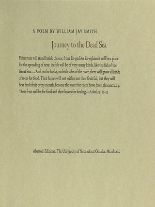 Journey to the Dead Sea. A poem