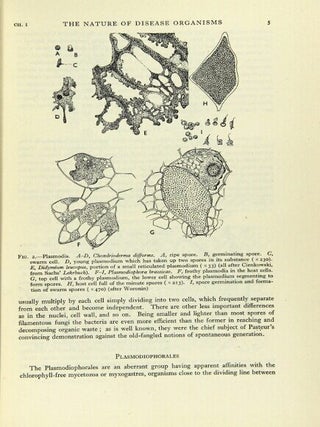 Plant pathology