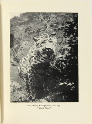 Big game hunting in Manchuria. Adapted from the Russian by Serge Ivanoff and Gertrude Mack