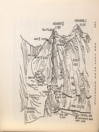 The last blue mountain
