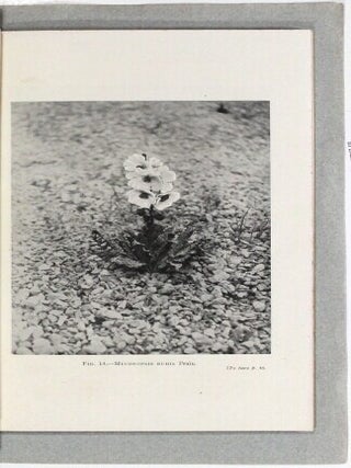 Report of work in 1914 in Kansu and Tibet as contained in Journal of the Royal Horticultural Society