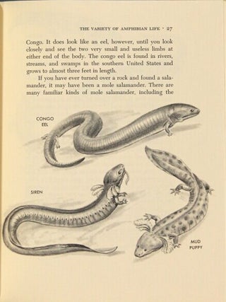 Frogs, toads, salamanders, and how they reproduce ... Illustrations by Matthew Kalmenmoff